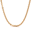Ion Plated Gold Stainless Steel Chain