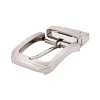 Brushed Silver Belt Buckle